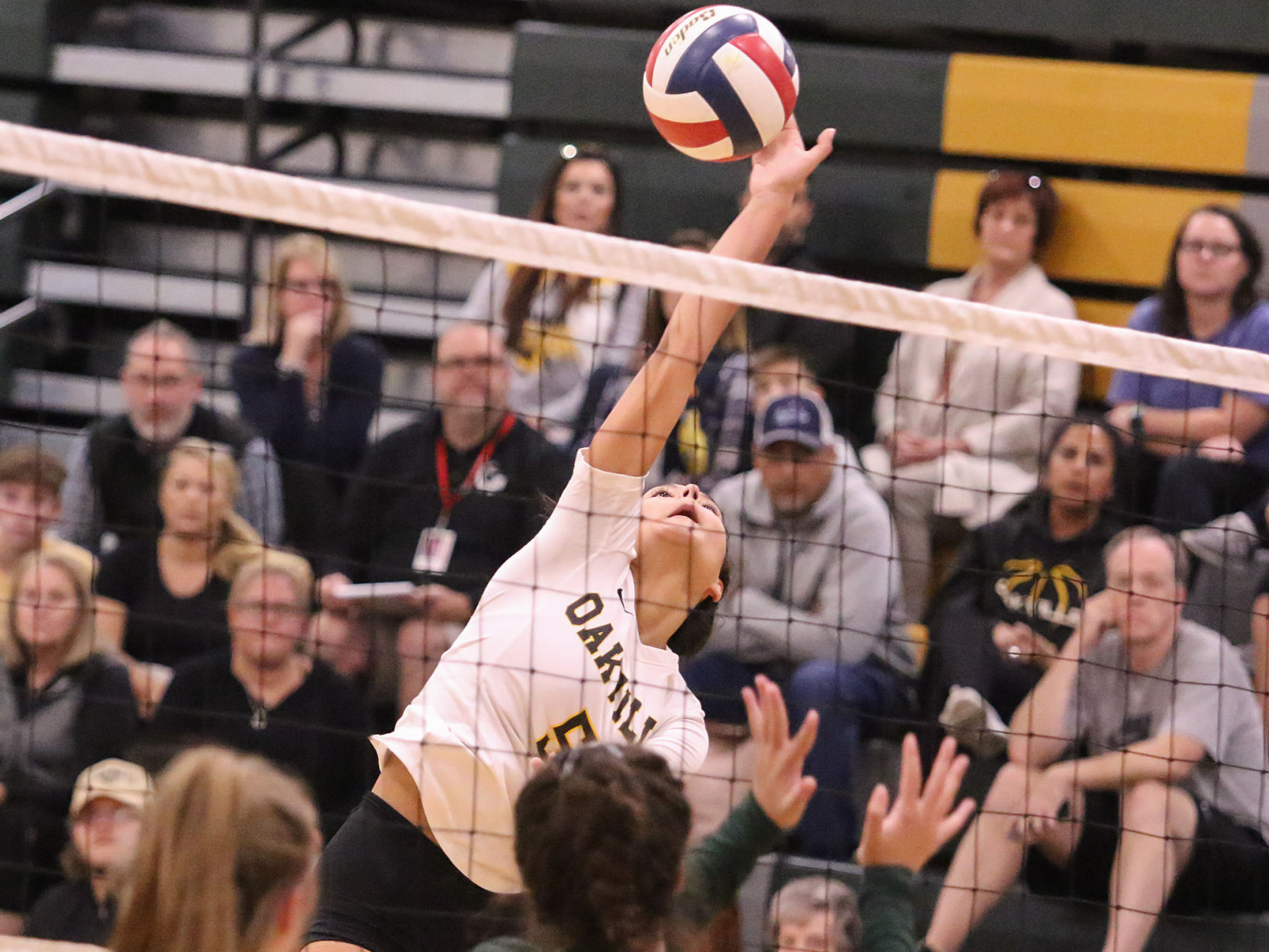 Lindbergh vs. Oakville volleyball